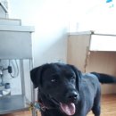 운천2리 이미지