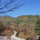 좌구산자연휴양림 이미지