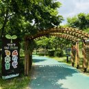 영산강대상근린공원 | 광주 영산강대상근린공원 유아숲체험원 자연 야외 놀이터