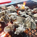 3935 | 1월 19일 SBS [생방송 투데이] 3935회 외국인의 밥상 ‘오스틴을 사로잡은 남해 굴구이 한 상‘ 맛집 소개