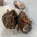 하나수산포차