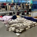 대전 성심당 근처 가볼만한곳 은행동 리유즈 빈티지샵