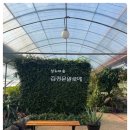 김정문알로에가족사랑 네이버블로그
