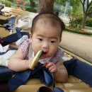 콩이통신 이미지