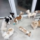 빈스 앤 멍 이미지