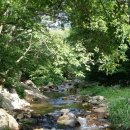 솔잎농장 이미지