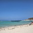 일랑일랑 애견캠핑 인제주 이미지