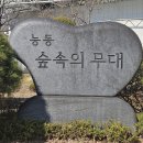 서울어린이대공원[2024.03.10]숲속의무대일원 이미지