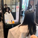 토리헤어송산 이미지