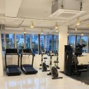 근력 강화 필라테스 이미지