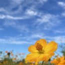 증평군 장애인회관 이미지