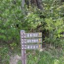 금강삼사 | 고성 응봉산 등산 20분 최단코스 금강삼사 코스 후기(강원 20대 명산 챌린지)