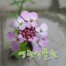 영광식물원 - 영광군 밀재로 333 | 영광식물원