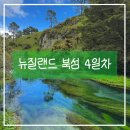 신기부화장 | 뉴질랜드 북섬 여행 4일차 :: 쿠이라우공원, 키위새 부화장, 블루 스프링, 글로우웜 케이브