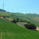 류상우소아청소년과의원 이미지