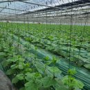 진형농장 이미지