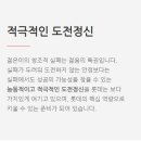 롯데시네마 부산본점관 | 롯데시네마 드리미 서류전형 합격 후기