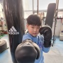 엘리트충남종합복싱체육관