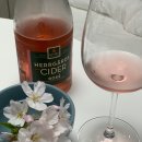 사격팡인생네컷 이미지