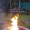 대한무도관 이미지