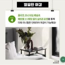 디자인마루 이미지