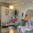 라피네 | [합정역 미용실] 리츠앤라피네 &amp; 라피네 뿌리매직 후기