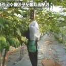 준우농산물