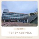 정동진솔라뷰호텔 내돈내산 솔직리뷰