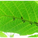 아델라농장 이미지