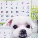 동화미용 이미지
