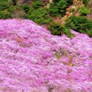 신사스타약국 이미지