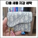 쨍세탁 | 디올 오블리크 천 원단 지갑세탁, 황변ㆍ 틴트ㆍ볼펜 제거 후기!