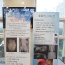 부산동물메디컬센터 이미지