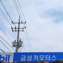 금성카모터스 네이버블로그
