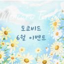 도쿄비드 일본 배대지 추천 일본직구 피규어 쇼핑 후기