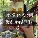 나무민박 | 강당골 밤나무 계곡 민박, 평상 이용후기, 화장실 샤워실 유무, 충남 계곡 추천