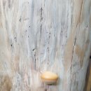 소나무의자에서핀 버섯 이미지