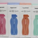 (주)타파웨어브랜즈코리아 서울지점 | 타파웨어 물병 리얼 후기
