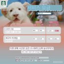 히든빌리지