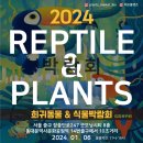 레오마켓 이미지