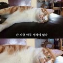 신여성병원 이미지