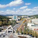 충남대학교 국가정책대학원 이미지