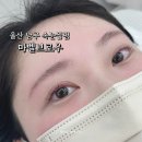 현브로우(Hyun brow) | 울산 남구 속눈썹펌 공업탑 마벨브로우