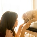 I-pet 동물병원 이미지