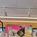 백두산약국 이미지