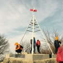 용마산 대삼각본점 Daum카페