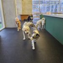 불리빌로우코리아센터 이미지