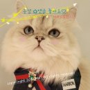 다리샌드위치&커피 이미지