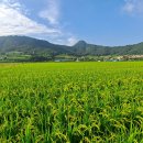 선학농장 이미지