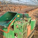 굿모닝유강의원 이미지